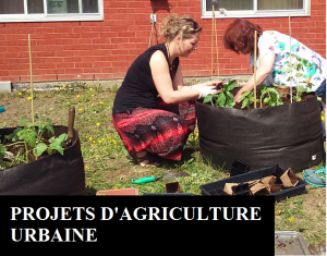 Projets d'agriculture urbaine
