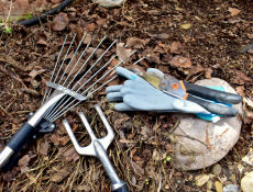 Les bonnes pratiques automnales